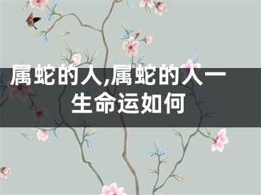 属蛇的人,属蛇的人一生命运如何