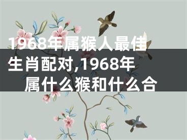 1968年属猴人最佳生肖配对,1968年属什么猴和什么合