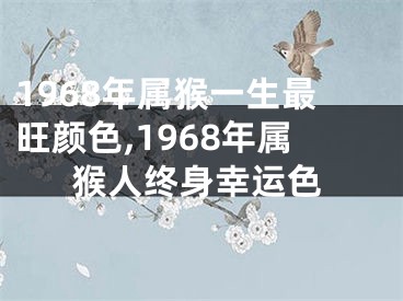 1968年属猴一生最旺颜色,1968年属猴人终身幸运色