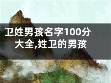 卫姓男孩名字100分大全,姓卫的男孩