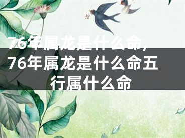 76年属龙是什么命,76年属龙是什么命五行属什么命