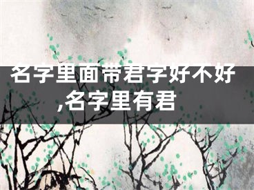 名字里面带君字好不好,名字里有君