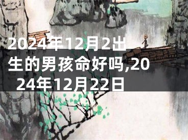 2024年12月2出生的男孩命好吗,2024年12月22日