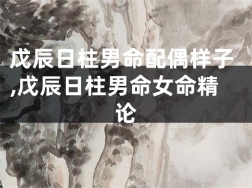 戊辰日柱男命配偶样子,戊辰日柱男命女命精论