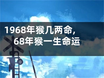 1968年猴几两命,68年猴一生命运
