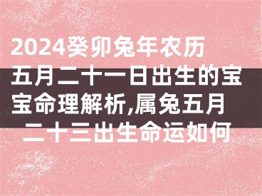 2024癸卯兔年农历五月二十一日出生的宝宝命理解析,属兔五月二十三出生命运如何
