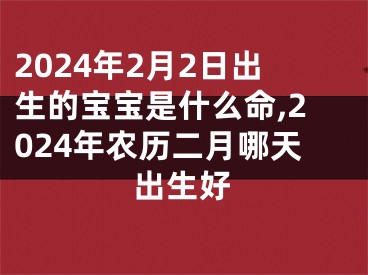 2024年2月2日出生的宝宝是什么命,2024年农历二月哪天出生好