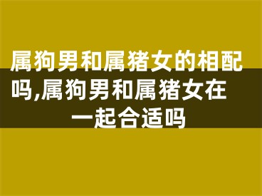 属狗男和属猪女的相配吗,属狗男和属猪女在一起合适吗