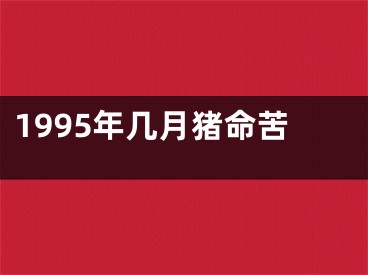1995年几月猪命苦