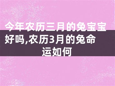 今年农历三月的兔宝宝好吗,农历3月的兔命运如何