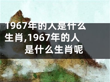 1967年的人是什么生肖,1967年的人是什么生肖呢