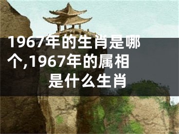 1967年的生肖是哪个,1967年的属相是什么生肖