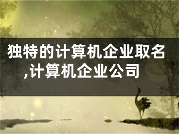 独特的计算机企业取名,计算机企业公司