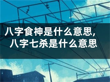 八字食神是什么意思,八字七杀是什么意思