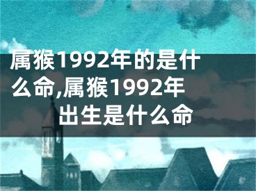 属猴1992年的是什么命,属猴1992年出生是什么命