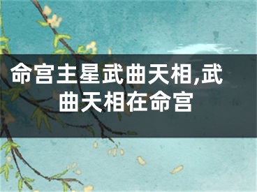 命宫主星武曲天相,武曲天相在命宫