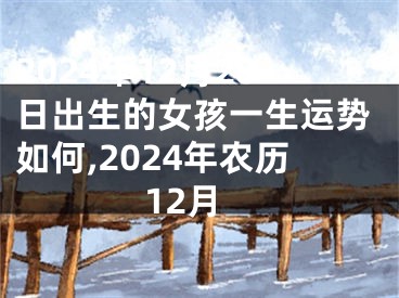 2024年12月28日出生的女孩一生运势如何,2024年农历12月