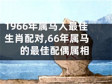 1966年属马人最佳生肖配对,66年属马的最佳配偶属相