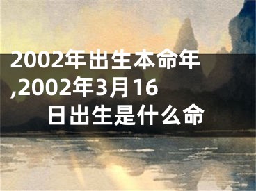 2002年出生本命年,2002年3月16日出生是什么命
