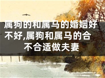 属狗的和属马的婚姻好不好,属狗和属马的合不合适做夫妻