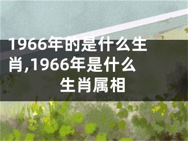 1966年的是什么生肖,1966年是什么生肖属相