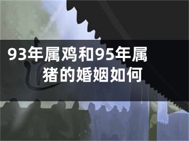 93年属鸡和95年属猪的婚姻如何