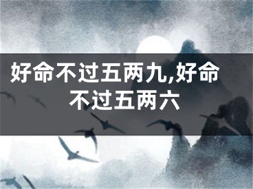 好命不过五两九,好命不过五两六