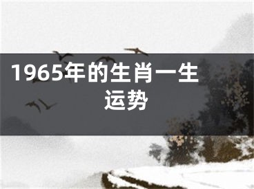 1965年的生肖一生运势