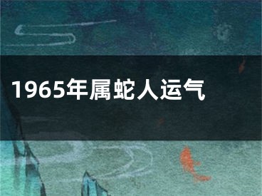 1965年属蛇人运气