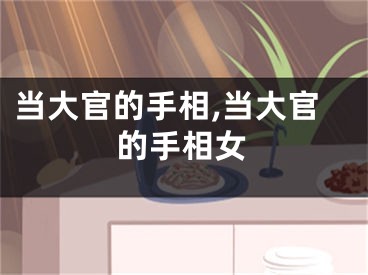 当大官的手相,当大官的手相女