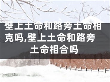 壁上土命和路旁土命相克吗,壁上土命和路旁土命相合吗