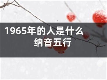 1965年的人是什么纳音五行