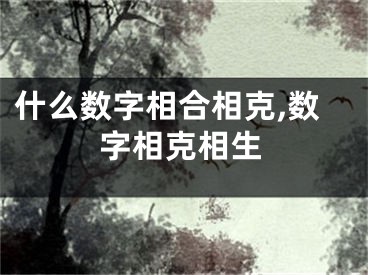 什么数字相合相克,数字相克相生