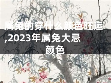属兔的穿什么颜色旺运,2023年属兔大忌颜色
