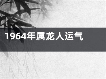 1964年属龙人运气