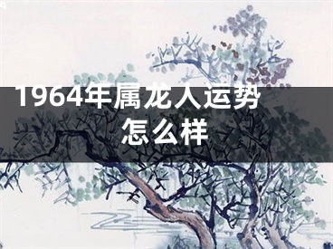 1964年属龙人运势怎么样