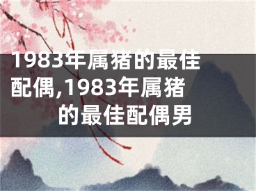 1983年属猪的最佳配偶,1983年属猪的最佳配偶男
