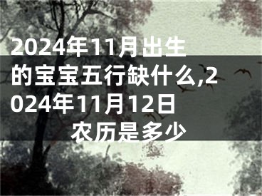 2024年11月出生的宝宝五行缺什么,2024年11月12日农历是多少