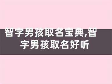 智字男孩取名宝典,智字男孩取名好听