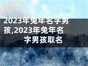 2023年兔年名字男孩,2023年兔年名字男孩取名