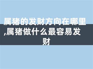 属猪的发财方向在哪里,属猪做什么最容易发财