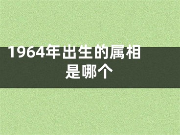 1964年出生的属相是哪个