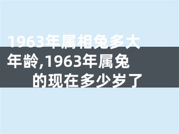1963年属相兔多大年龄,1963年属兔的现在多少岁了