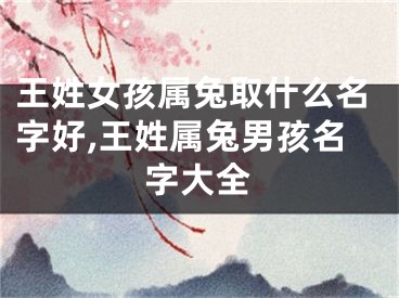 王姓女孩属兔取什么名字好,王姓属兔男孩名字大全