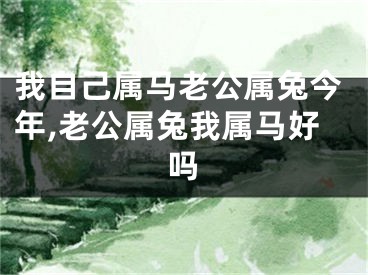 我自己属马老公属兔今年,老公属兔我属马好吗