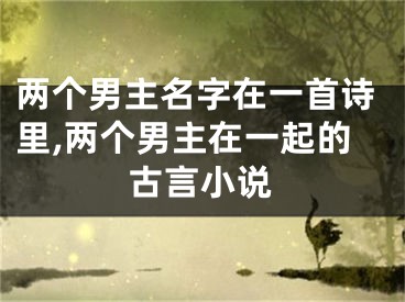 两个男主名字在一首诗里,两个男主在一起的古言小说
