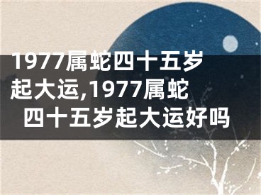 1977属蛇四十五岁起大运,1977属蛇四十五岁起大运好吗