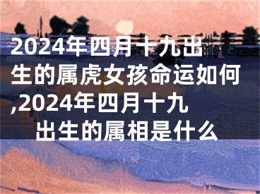 2024年四月十九出生的属虎女孩命运如何,2024年四月十九出生的属相是什么