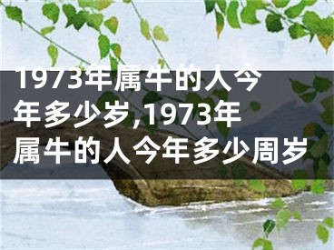 1973年属牛的人今年多少岁,1973年属牛的人今年多少周岁