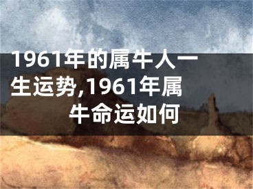 1961年的属牛人一生运势,1961年属牛命运如何
